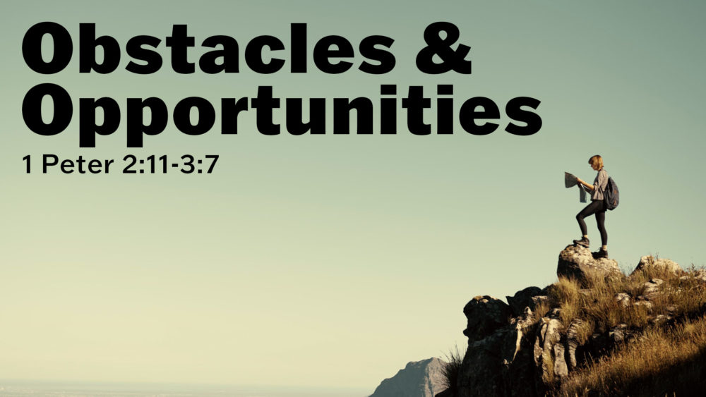 Obstacles and Opportunites