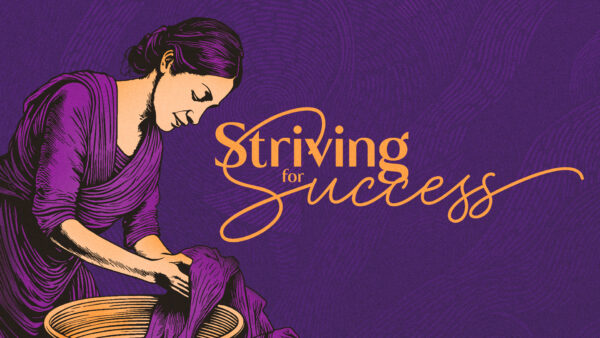 Striving for Success Image