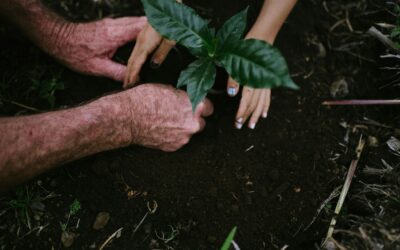 What Stewardship Really Means