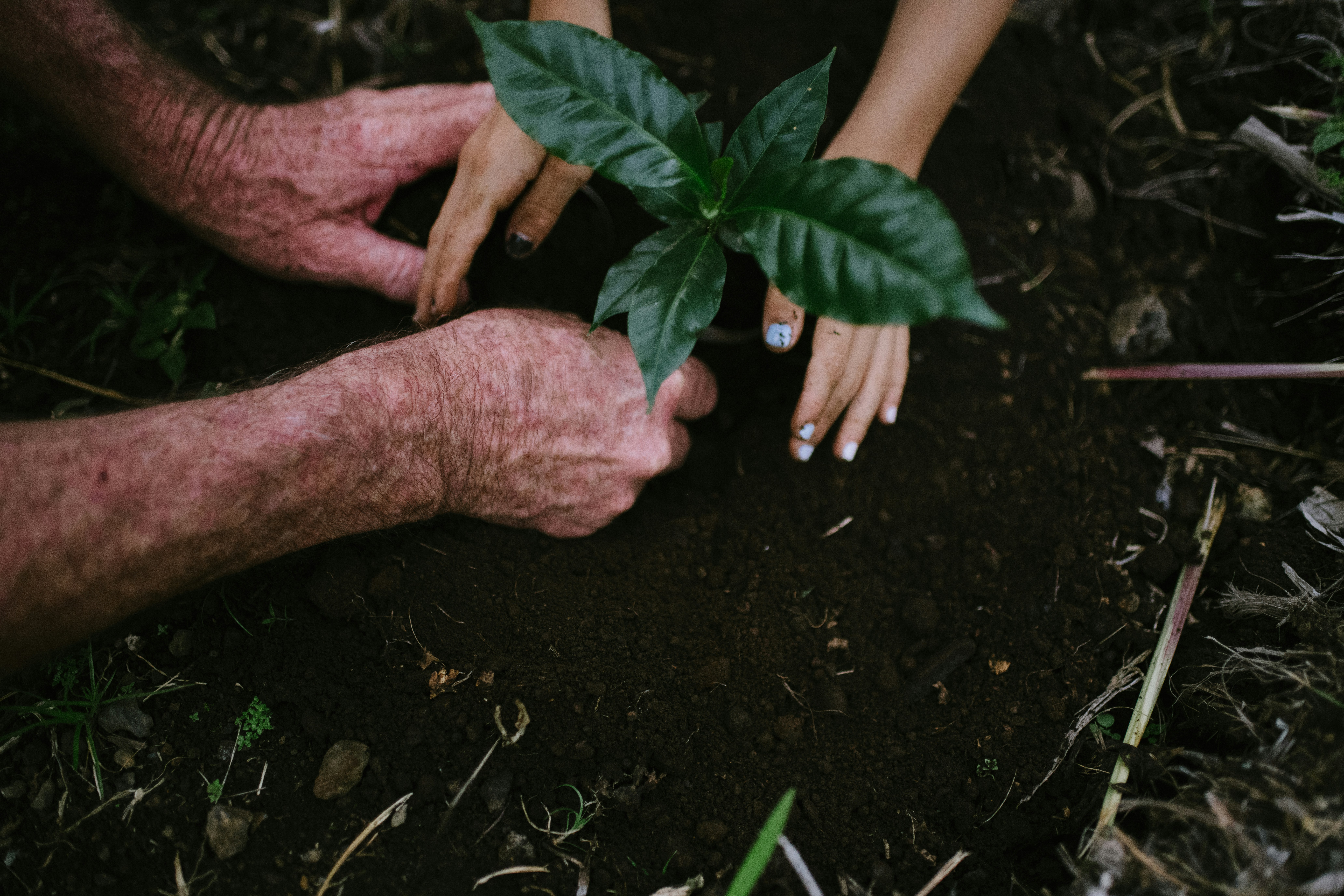 What Stewardship Really Means